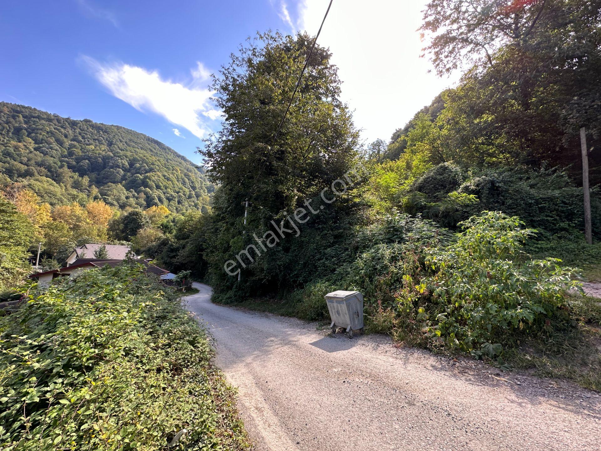Sapanca Şükriye’de Satılık 3.086 M2 Fındıklık - Görsel 8