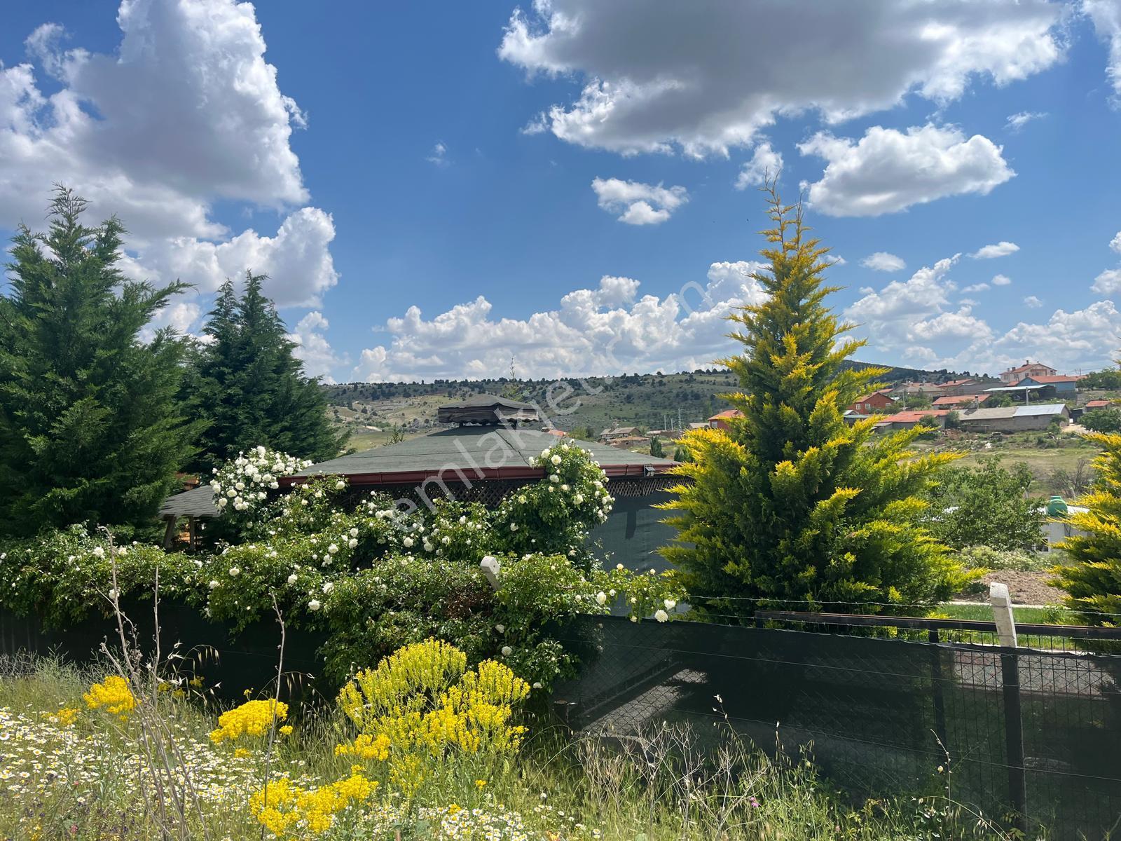 Meram Karadiğinderesi Satılık Bahçe – 1.022 M² Müstakil Tapu - Görsel 23