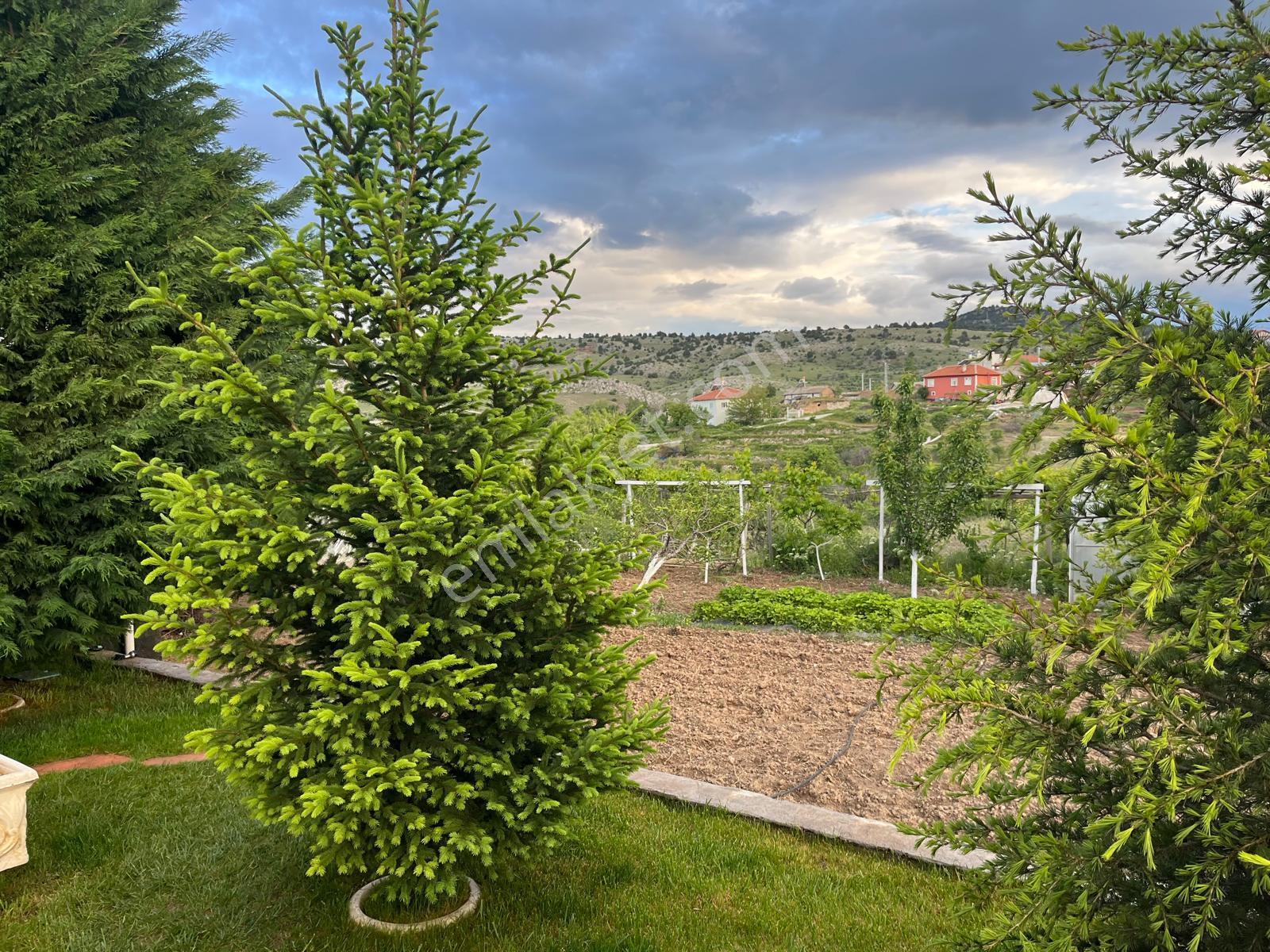 Meram Karadiğinderesi Satılık Bahçe – 1.022 M² Müstakil Tapu - Görsel 8