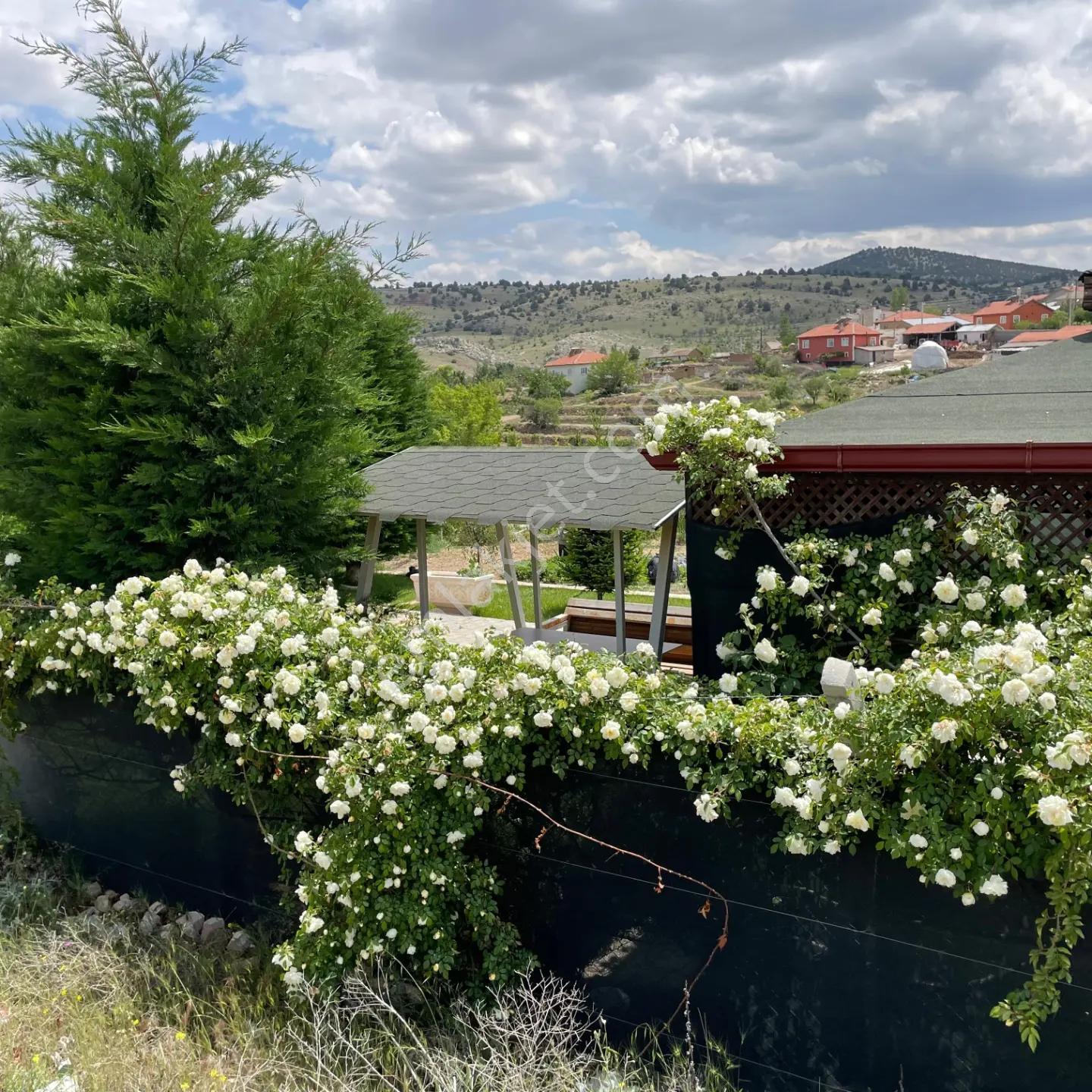 Meram Karadiğinderesi Satılık Bahçe – 1.022 M² Müstakil Tapu - Görsel 22