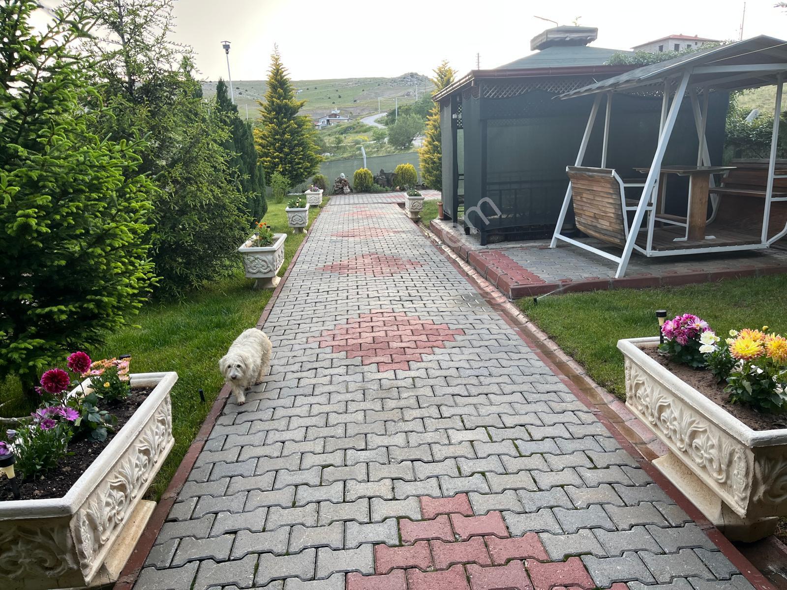 Meram Karadiğinderesi Satılık Bahçe – 1.022 M² Müstakil Tapu - Görsel 12