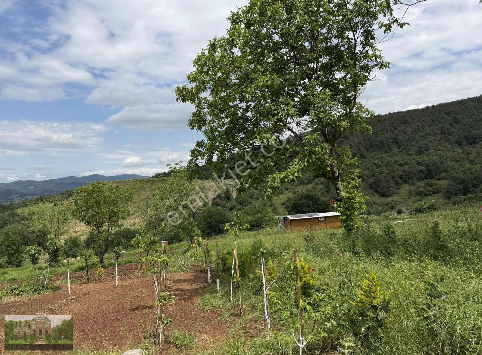 Sahıbınden 250m2 Parseller. - Görsel 9
