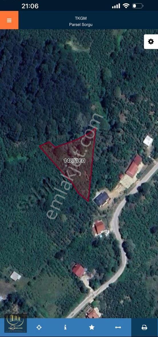 Sakarya Karapürçekte Fındık Bahçesi Acil Satılık - Görsel 6