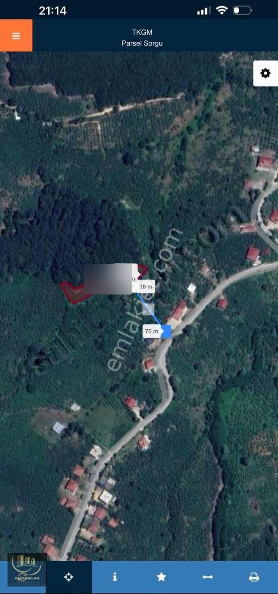 Sakarya Karapürçekte Fındık Bahçesi Acil Satılık - Görsel 3