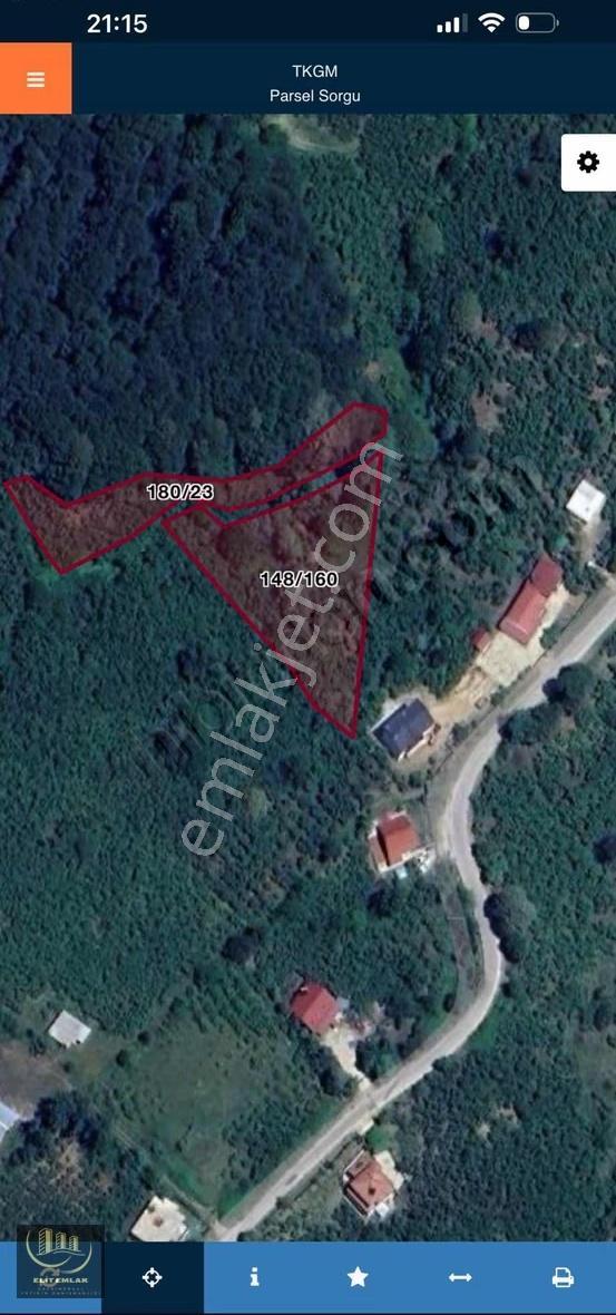 Sakarya Karapürçekte Fındık Bahçesi Acil Satılık - Görsel 5
