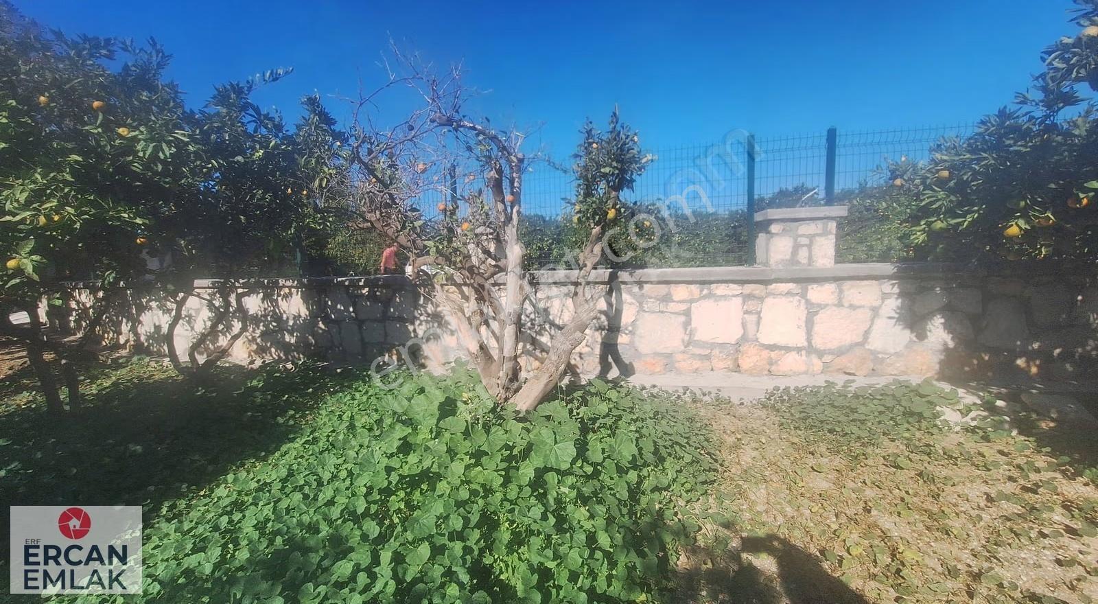 Seferihisarda Koop.hisseli Bahce 2 Adet - Görsel 13