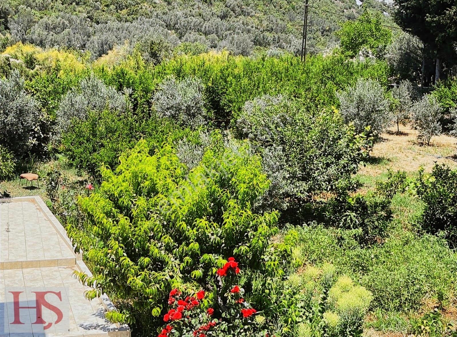 Döşemealtı Kırkgöz'de Cadde Üzeri 2376 M2 İçerisinde Müstakil Ev - Görsel 6