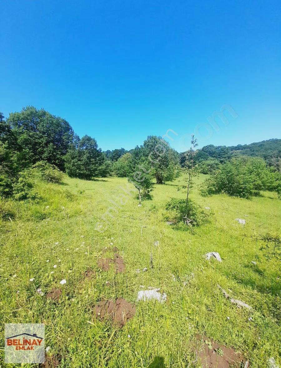 Belinay Emlaktan Bilecik Künçeğiz Köyünde 4466 M2 Satılık Tarla