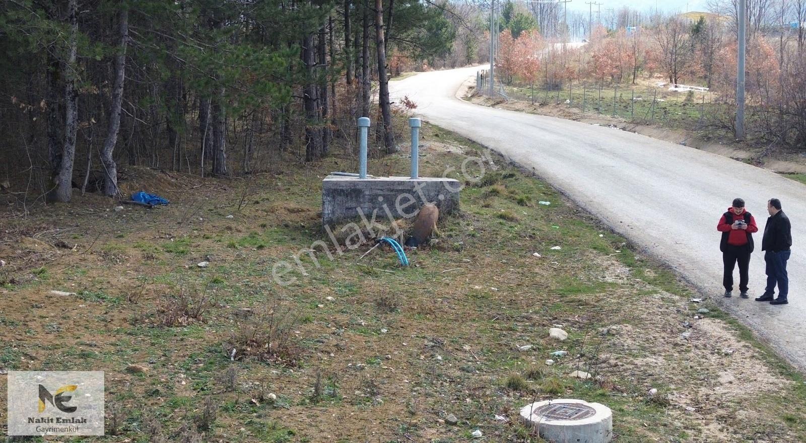 Projesi Hazır 4592m2 Asfalt'a Cephe Harika Konumda Elektrik+su - Görsel 19