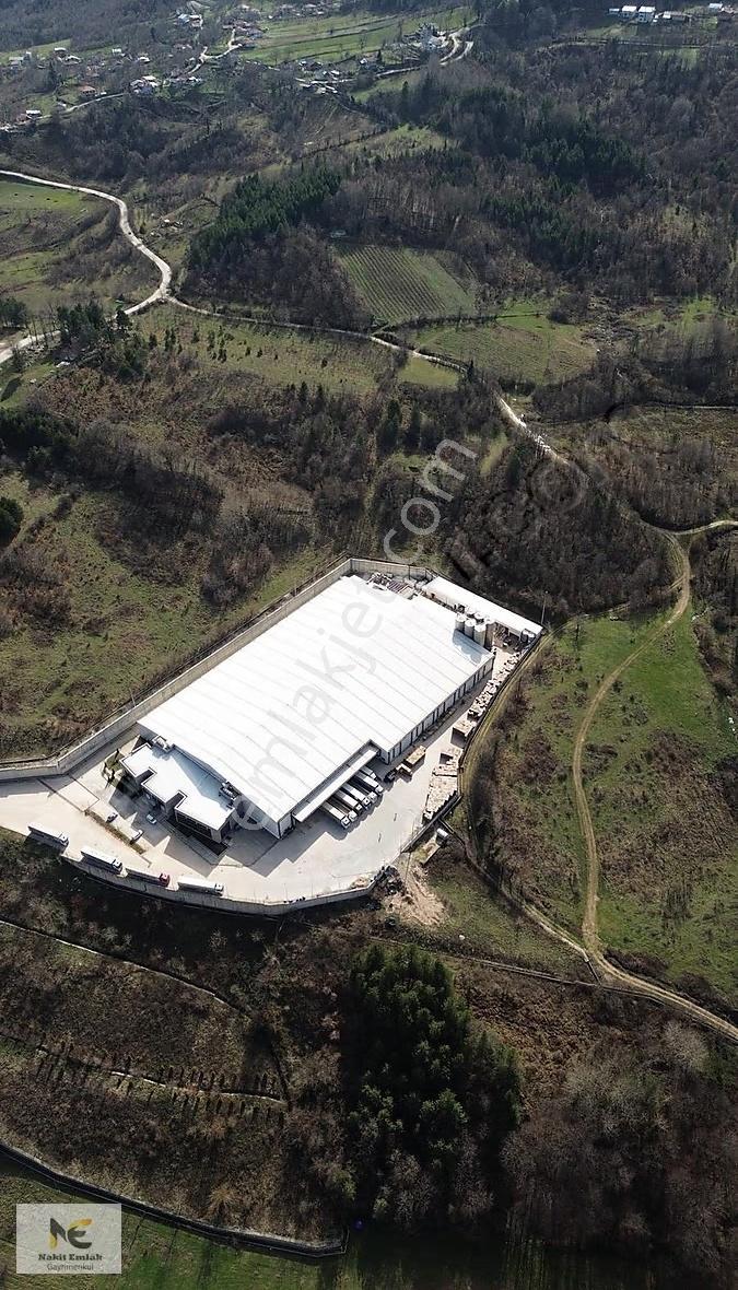 Projesi Hazır 4592m2 Asfalt'a Cephe Harika Konumda Elektrik+su - Görsel 4