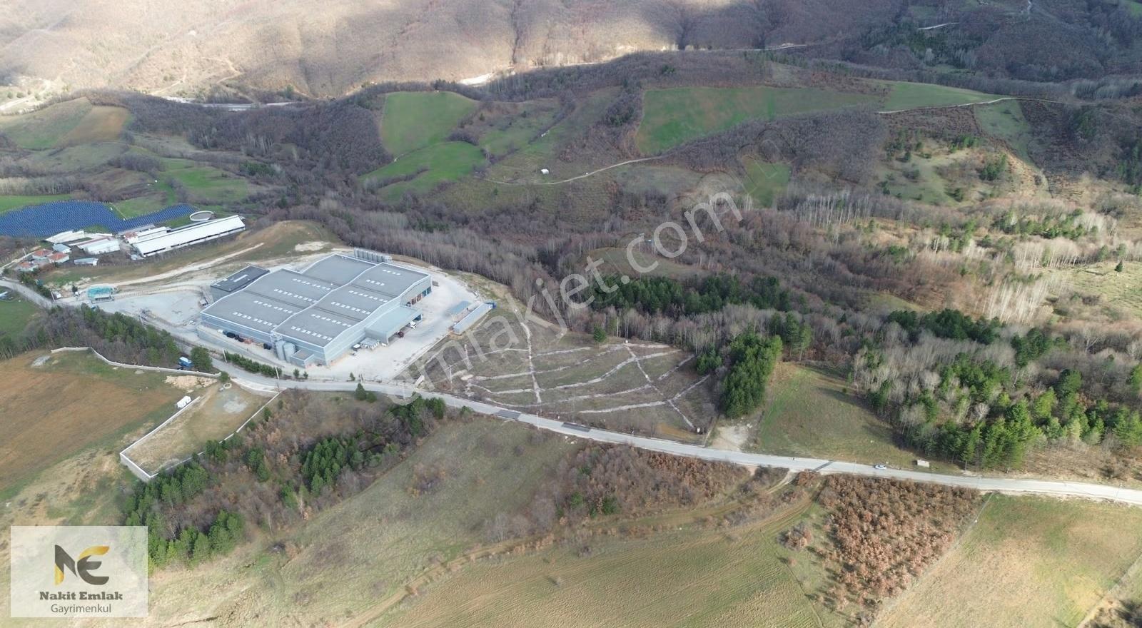 Projesi Hazır 4592m2 Asfalt'a Cephe Harika Konumda Elektrik+su - Görsel 8