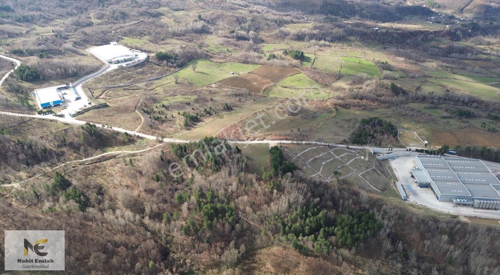 Projesi Hazır 4592m2 Asfalt'a Cephe Harika Konumda Elektrik+su - Görsel 2
