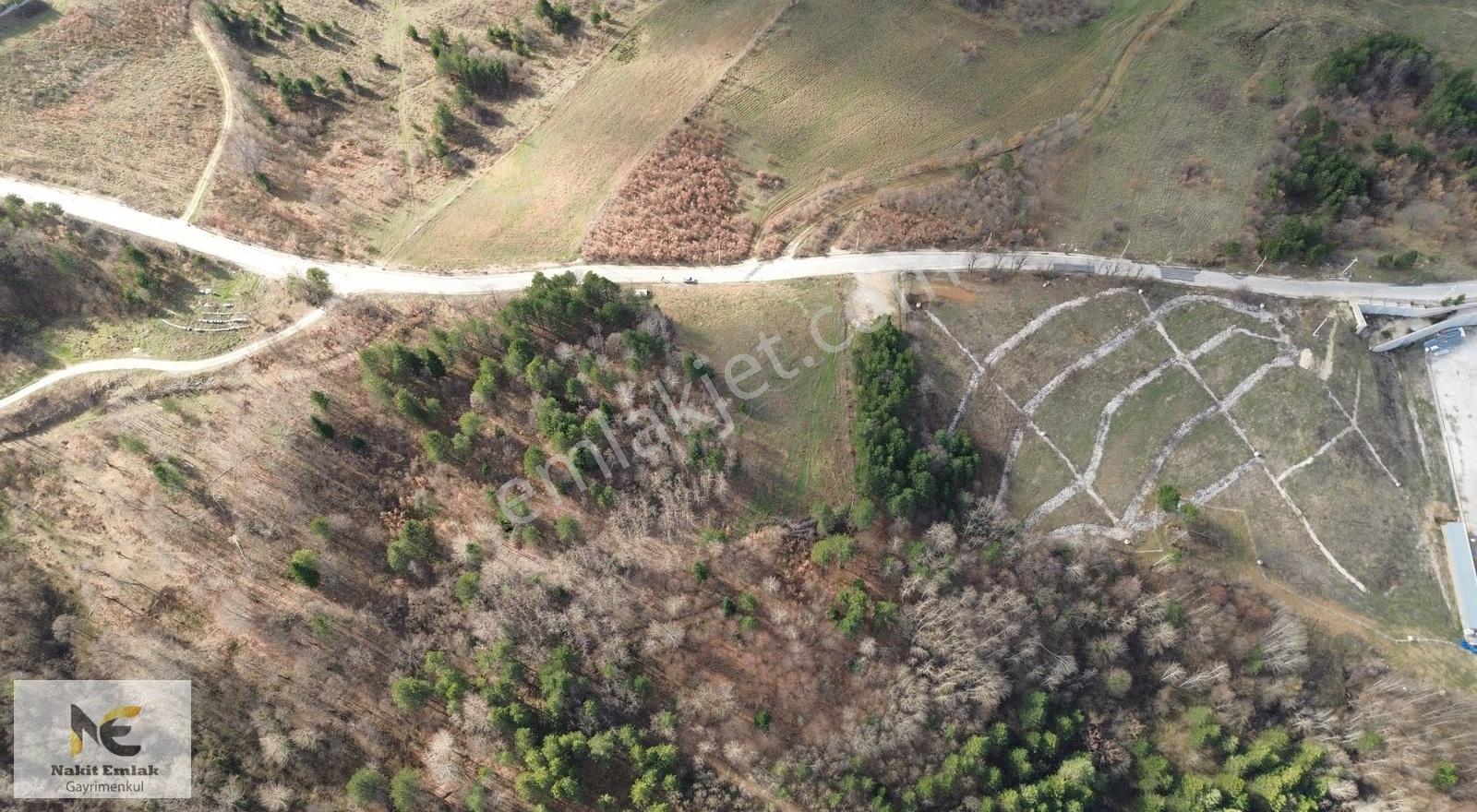 Projesi Hazır 4592m2 Asfalt'a Cephe Harika Konumda Elektrik+su - Görsel 15