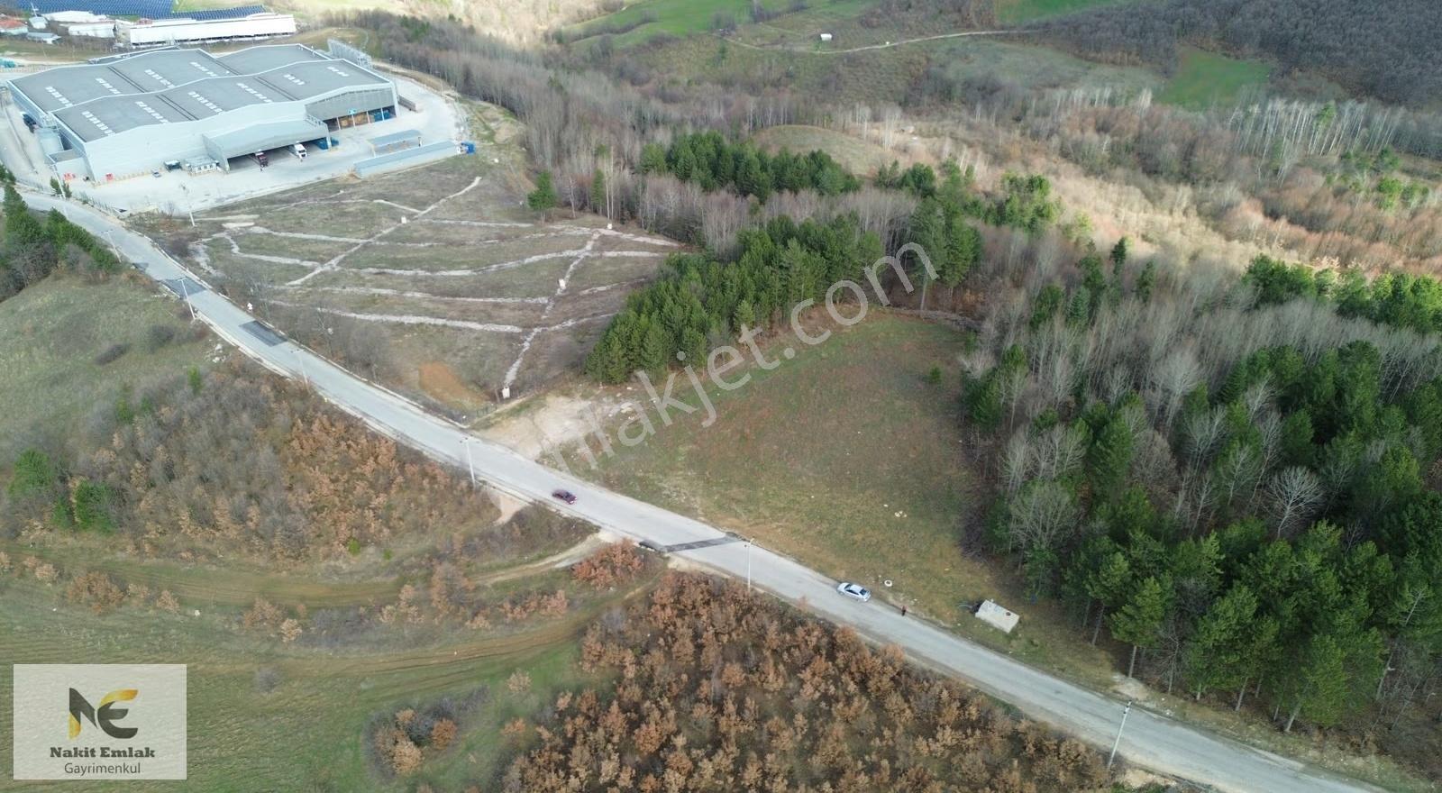 Projesi Hazır 4592m2 Asfalt'a Cephe Harika Konumda Elektrik+su - Görsel 6