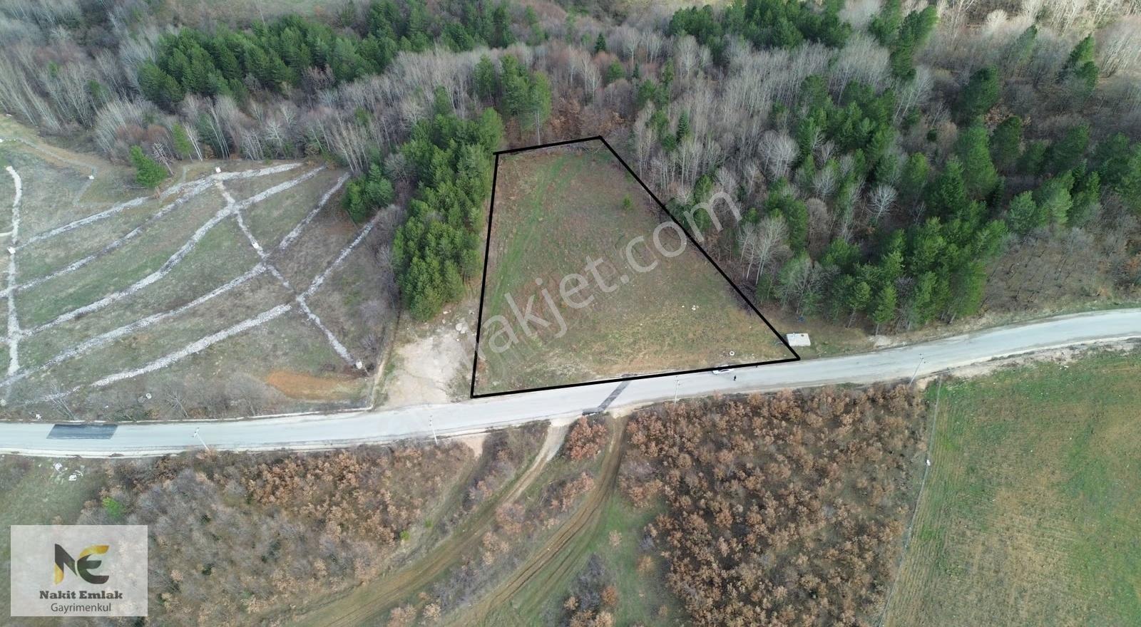 Projesi Hazır 4592m2 Asfalt'a Cephe Harika Konumda Elektrik+su - Görsel 7