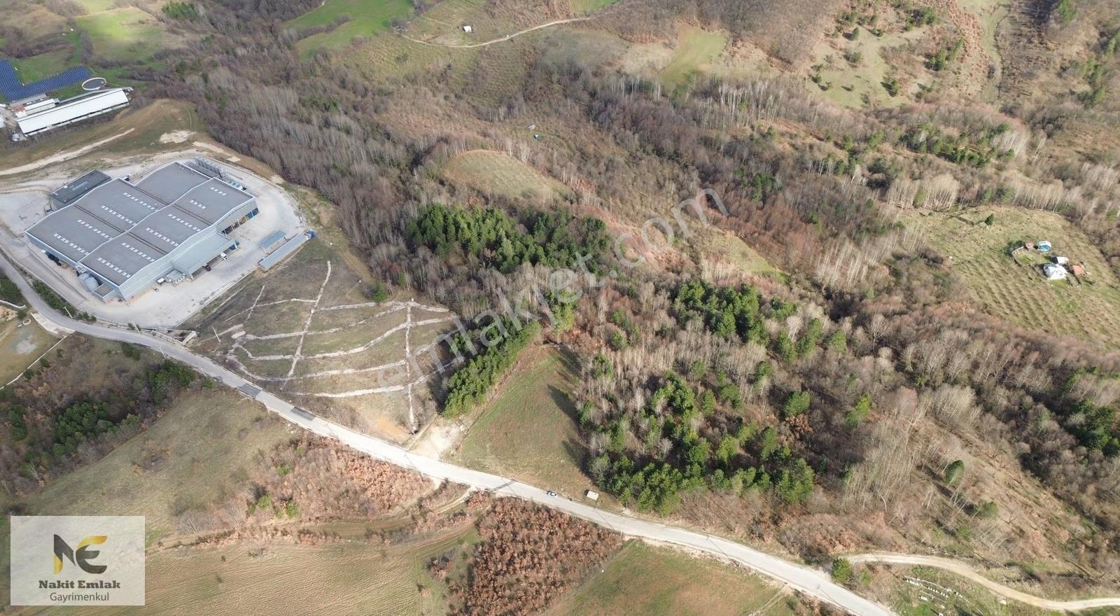 Projesi Hazır 4592m2 Asfalt'a Cephe Harika Konumda Elektrik+su - Görsel 14