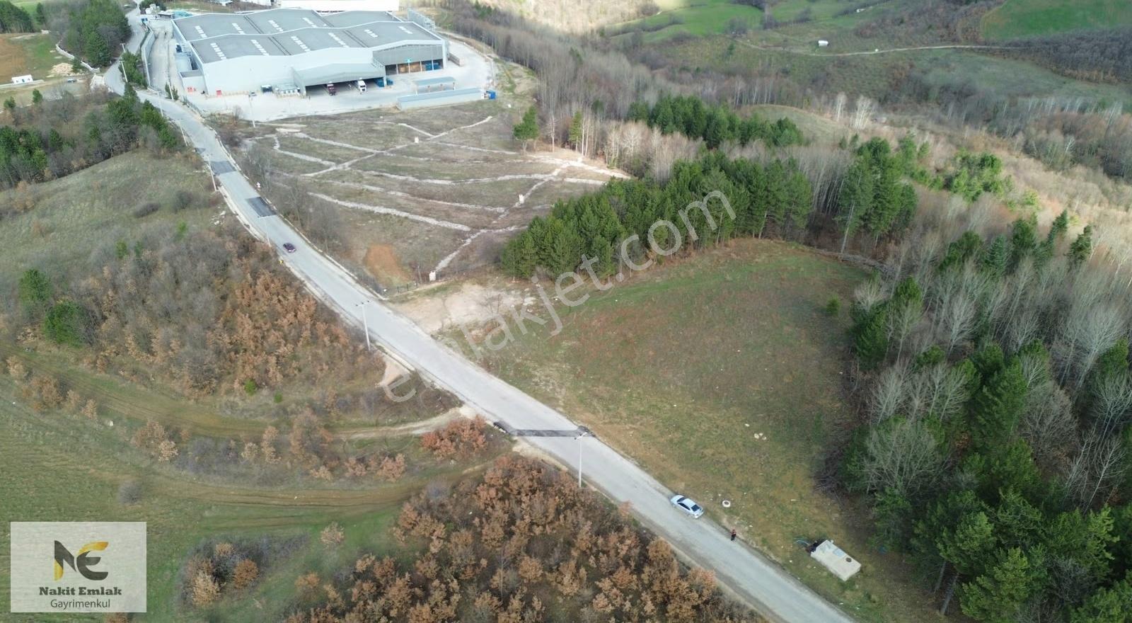 Projesi Hazır 4592m2 Asfalt'a Cephe Harika Konumda Elektrik+su - Görsel 5