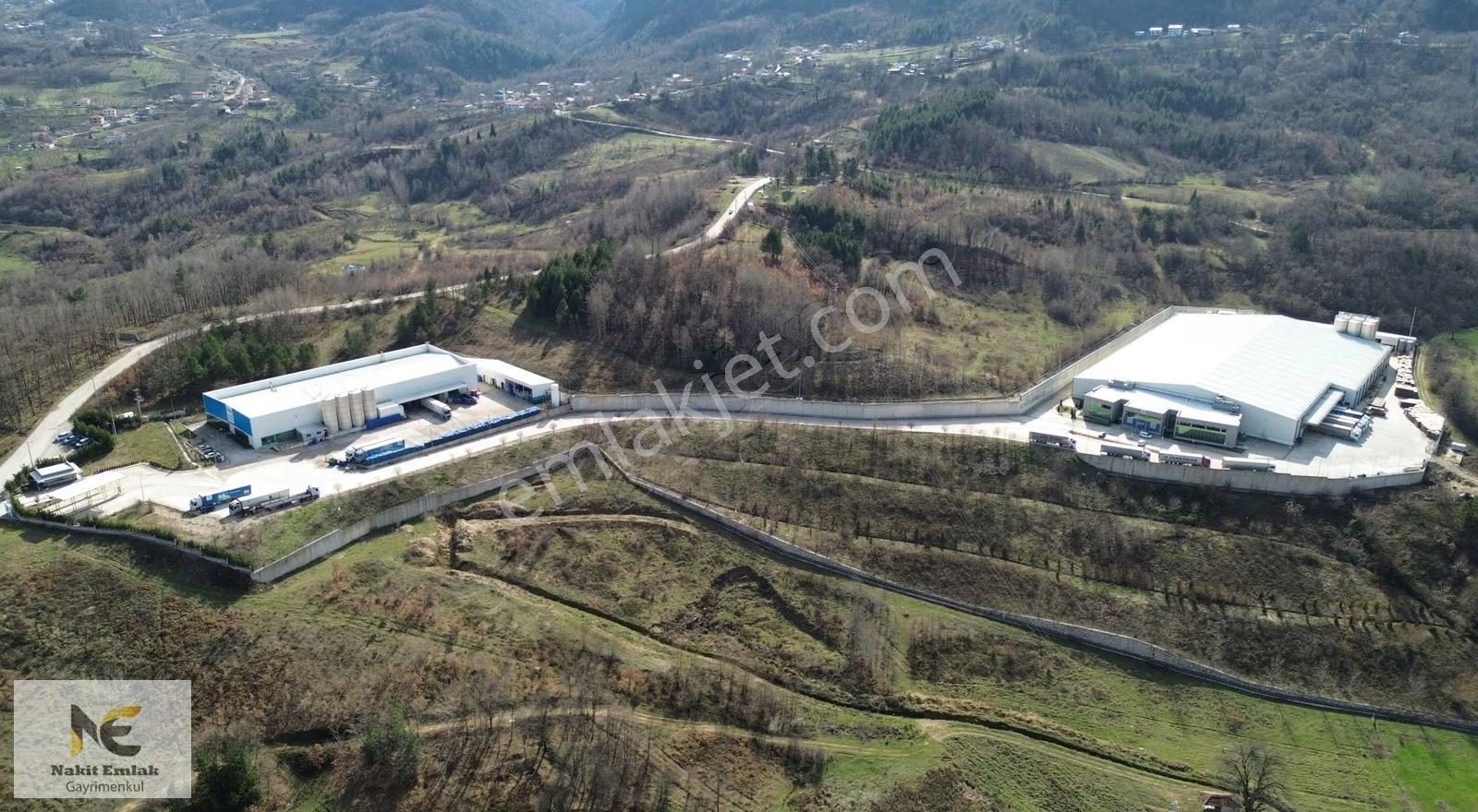 Projesi Hazır 4592m2 Asfalt'a Cephe Harika Konumda Elektrik+su - Görsel 20