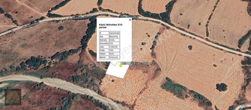 Çanakkale Bayramiç Köylü'de Gölete Yakın 1800 M2 Fırsat Tarla - Görsel 5