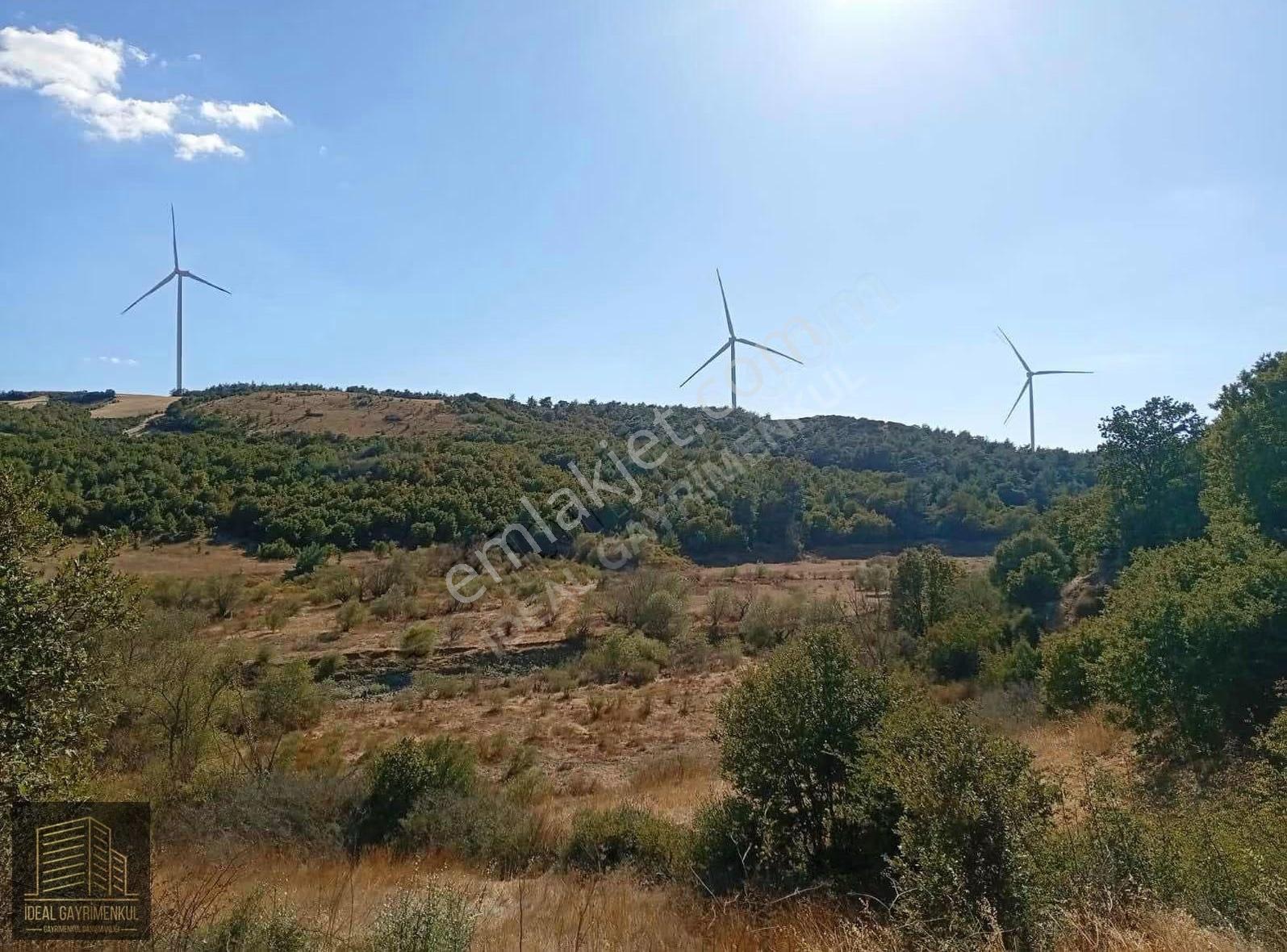 Çanakkale Bayramiç Köylü'de Gölete Yakın 1800 M2 Fırsat Tarla - Görsel 7