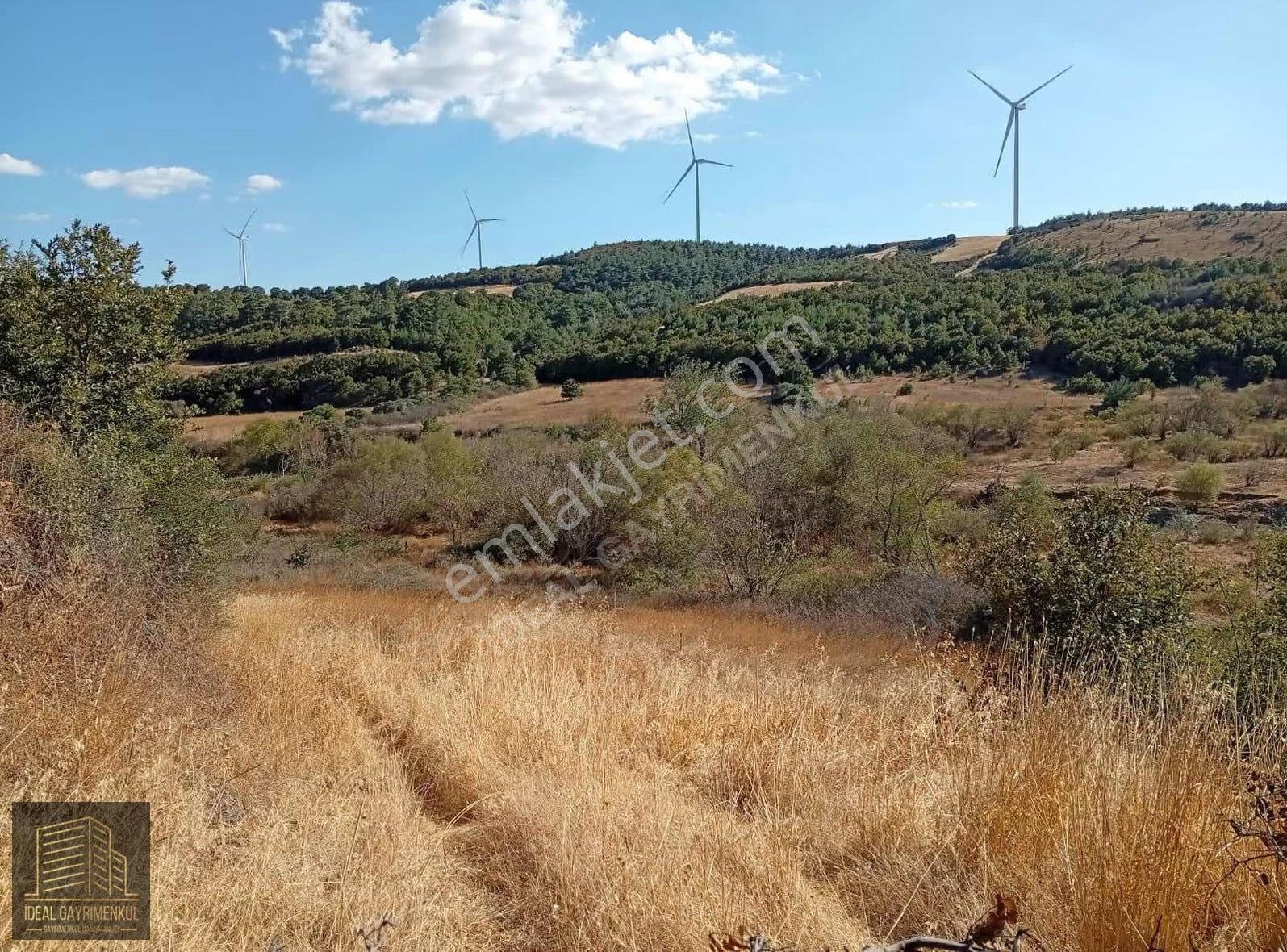 Çanakkale Bayramiç Köylü'de Gölete Yakın 1800 M2 Fırsat Tarla - Görsel 2