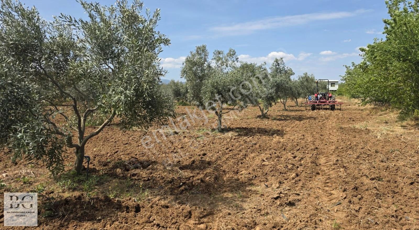 Bal Gayrimenkul'den 250,300m2 Satılık Bahçeler - Görsel 16