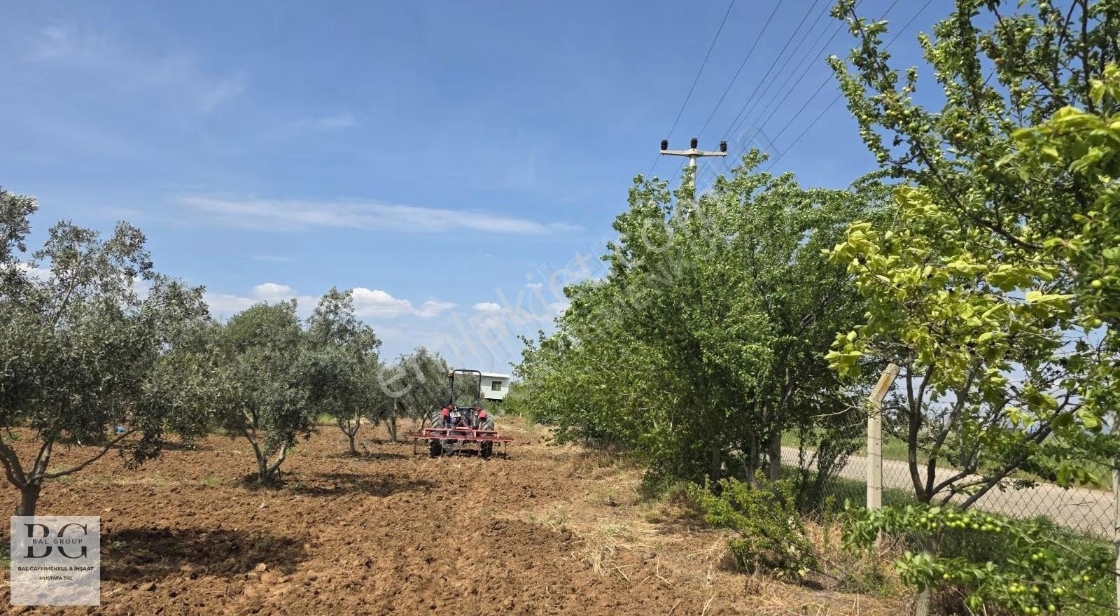 Bal Gayrimenkul'den 250,300m2 Satılık Bahçeler - Görsel 9