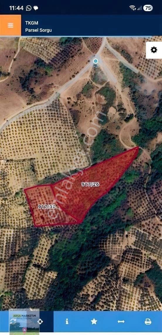 Yeniköye Yakın 11535 M2 Çok Güzel Konumda Tarla