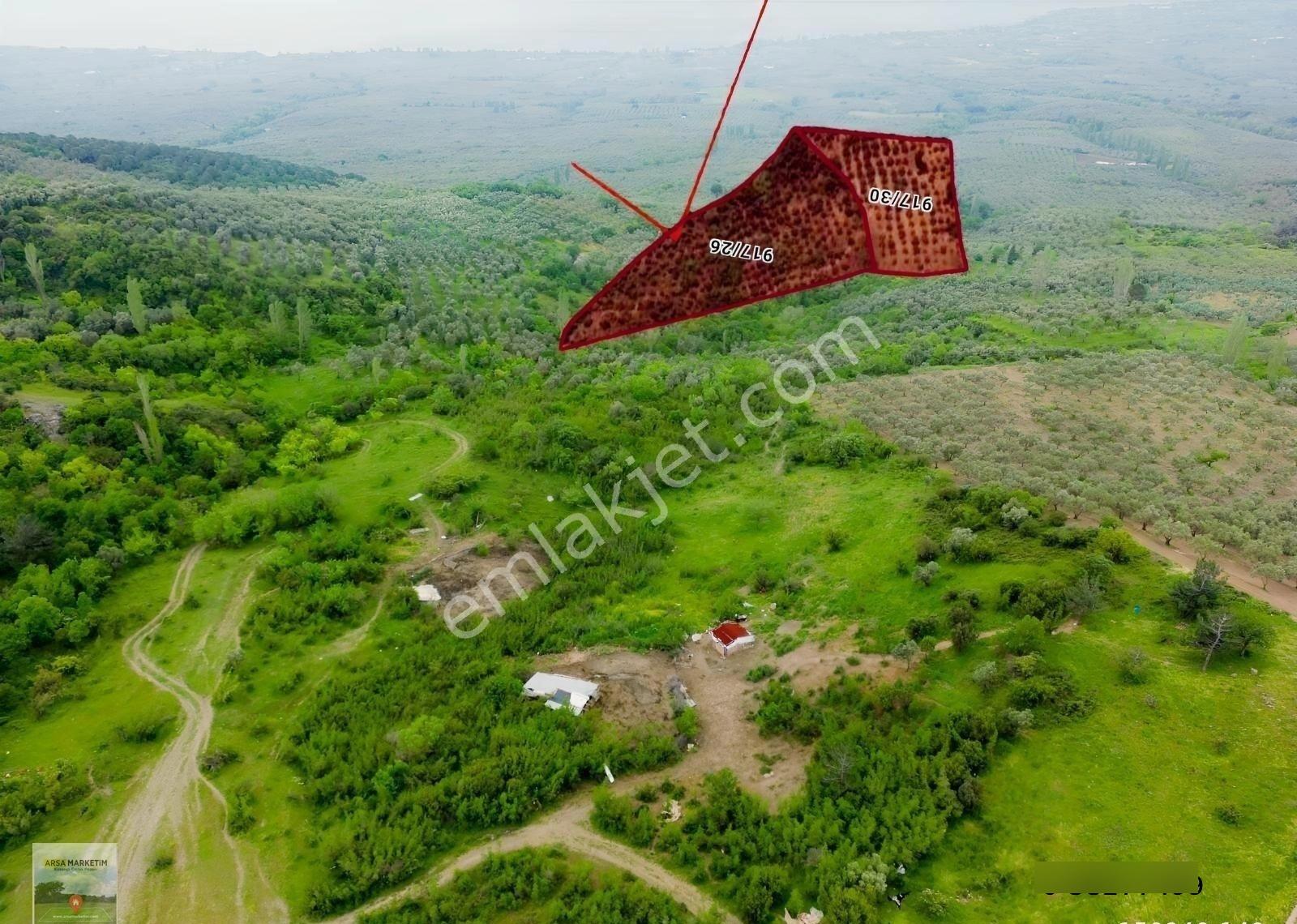 Yeniköye Yakın 11535 M2 Çok Güzel Konumda Tarla - Görsel 3