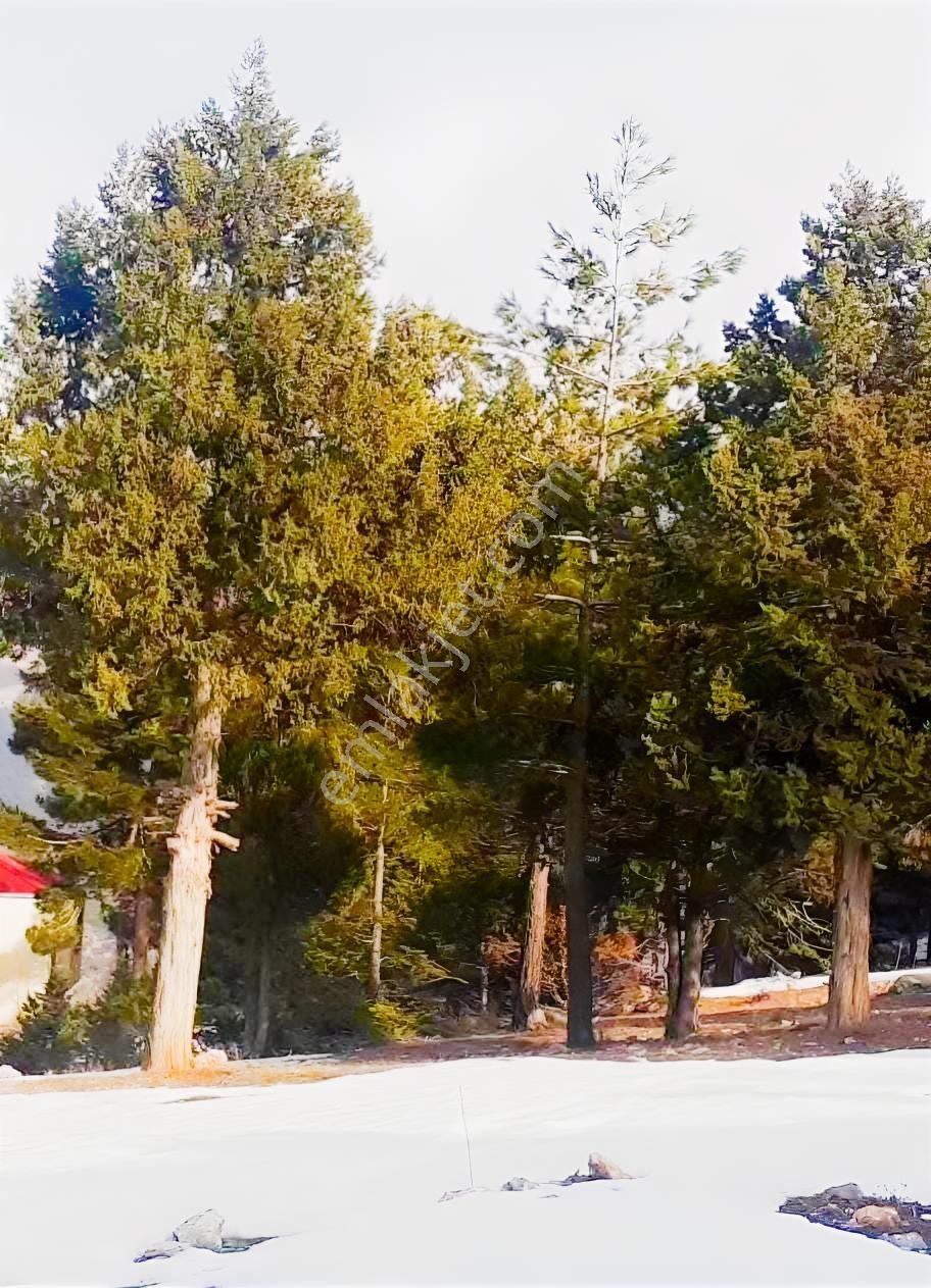 Kar Emlaktan Yenı Konacık Kırıntı Mevkıınde 725 M2 Arsa - Görsel 27