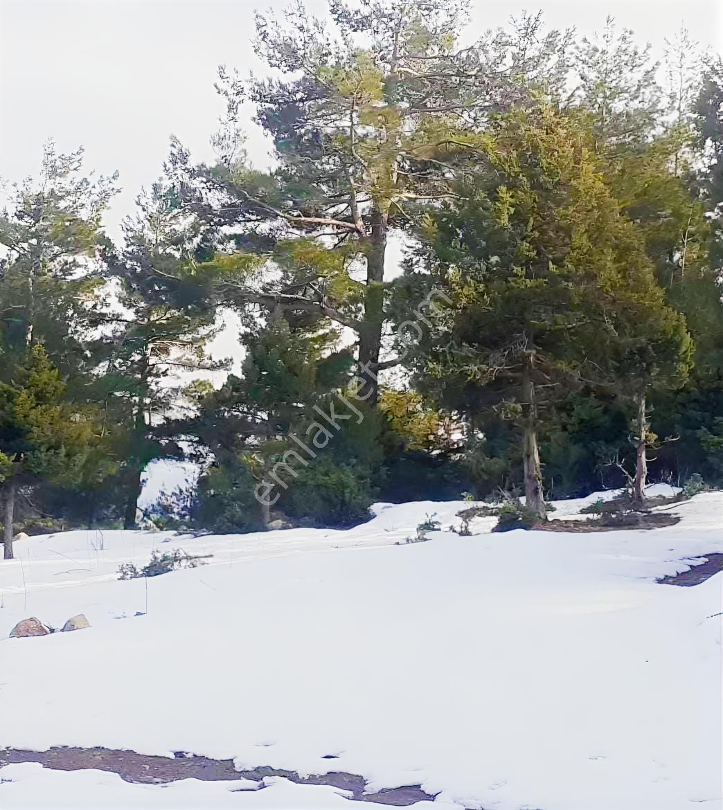 Kar Emlaktan Yenı Konacık Kırıntı Mevkıınde 725 M2 Arsa - Görsel 14