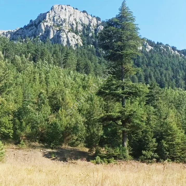 Kar Emlaktan Eskı Konacık'ta 66 80 M2 Imara Uygun Satılık Tarla - Görsel 10