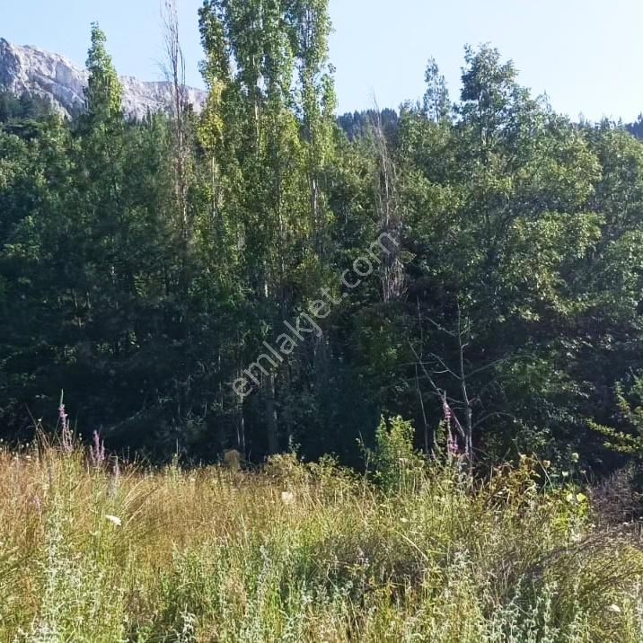 Kar Emlaktan Eskı Konacık'ta 66 80 M2 Imara Uygun Satılık Tarla - Görsel 23