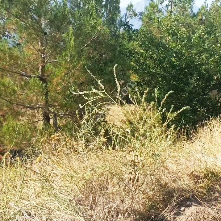 Kar Emlaktan Eskı Konacık'ta 66 80 M2 Imara Uygun Satılık Tarla - Görsel 30