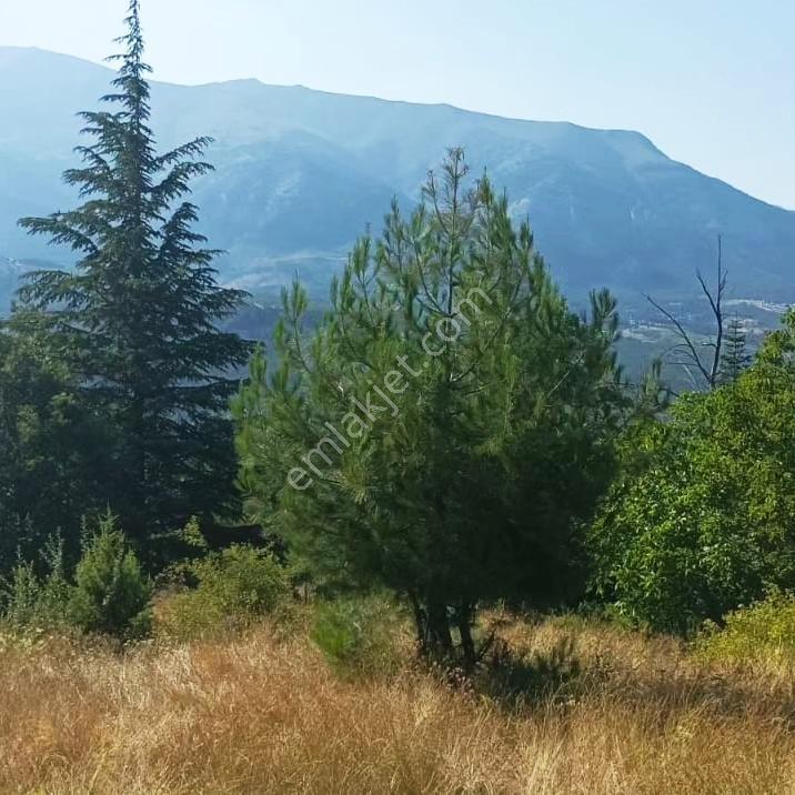 Kar Emlaktan Eskı Konacık'ta 66 80 M2 Imara Uygun Satılık Tarla - Görsel 22
