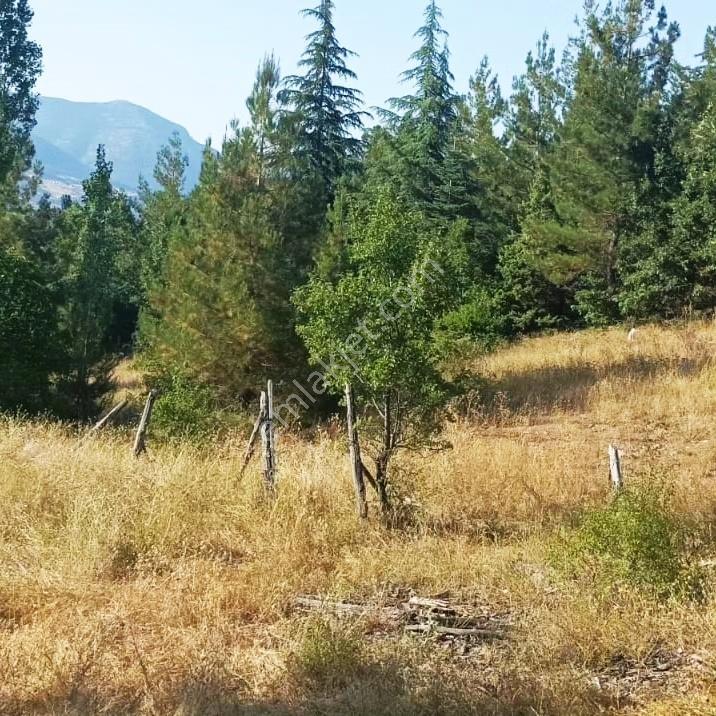 Kar Emlaktan Eskı Konacık'ta 66 80 M2 Imara Uygun Satılık Tarla - Görsel 34