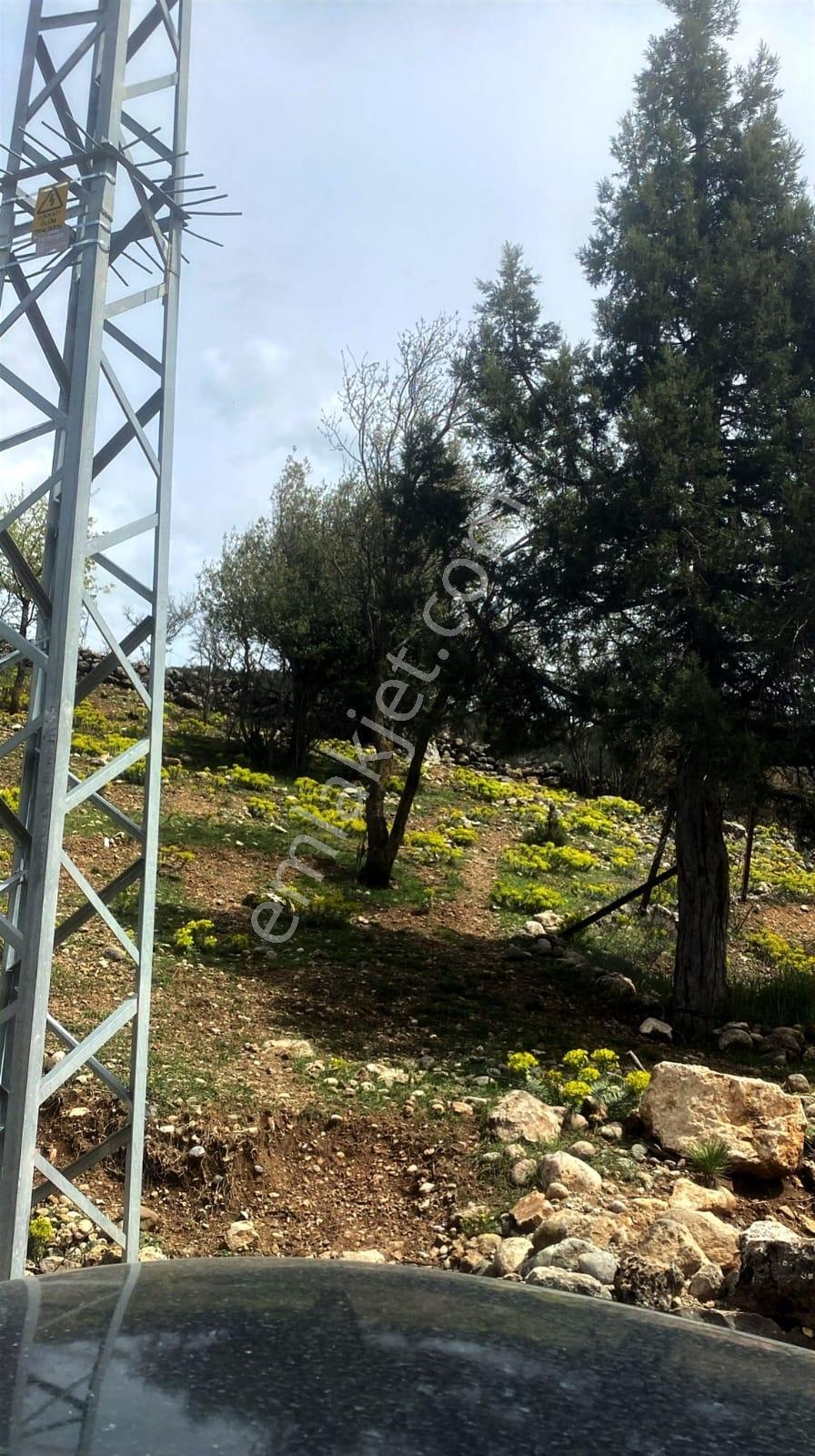 Kar Emlaktan Mersın Tarsus Panzı Çukuru 1130 M2 Satılık Arsa