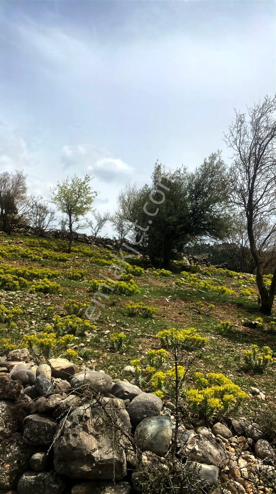 Kar Emlaktan Mersın Tarsus Panzı Çukuru 1130 M2 Satılık Arsa - Görsel 15