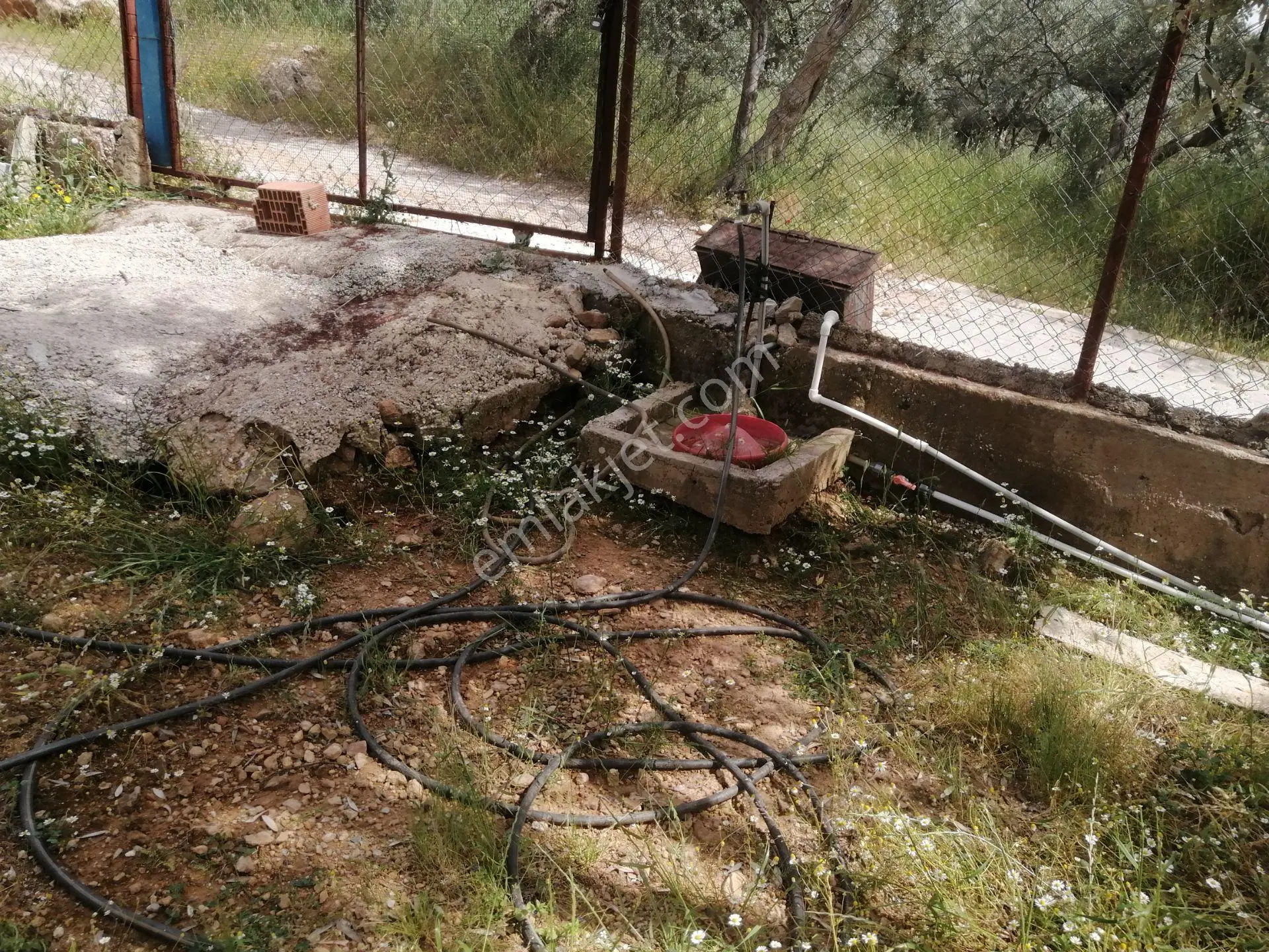 İzmir Torbalı Gold Emlaktan Satılık Bahçeli Köy Evi - Görsel 4