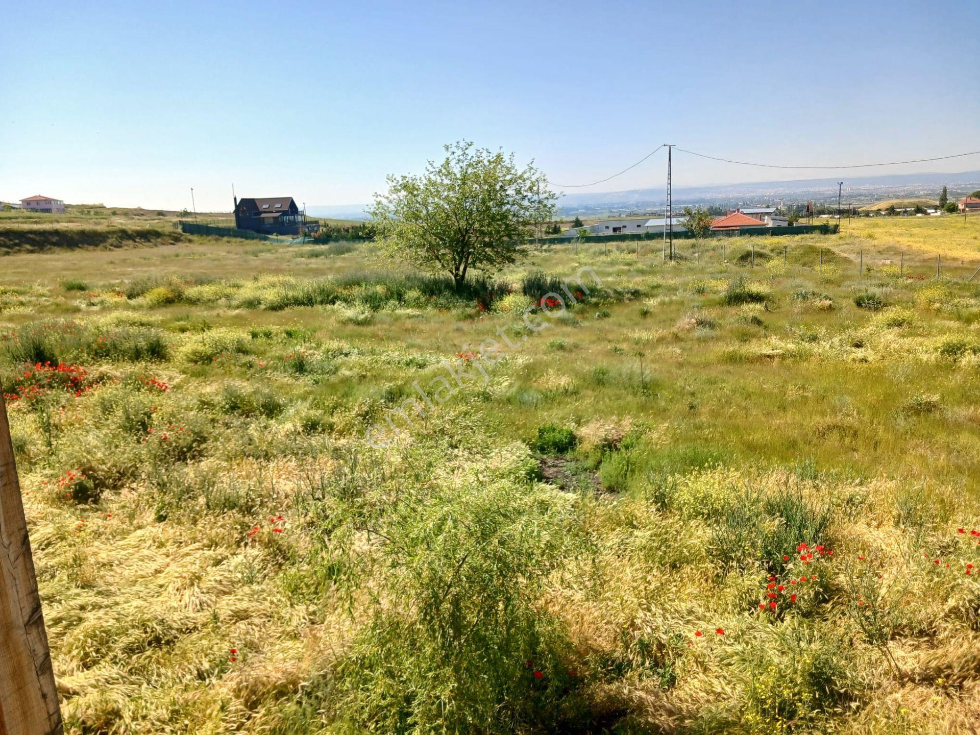 Eskişehir Tepebaşı Kozkayı’da Satılık Tarla / 3 Adet Ev / Büyükbaş Hayvan Ahırı