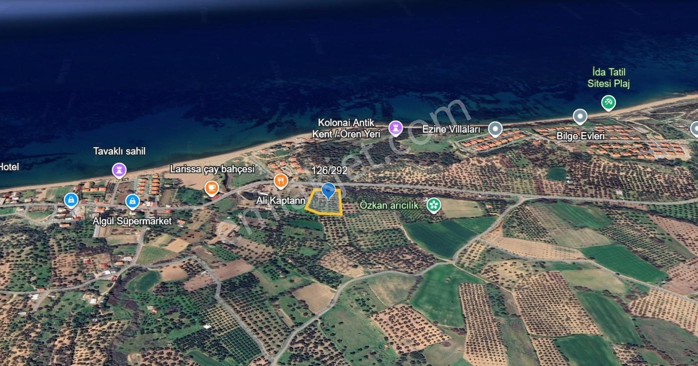 Çanakkale Alemşah Satılık 5000 M2 Zeytinlik - Görsel 3