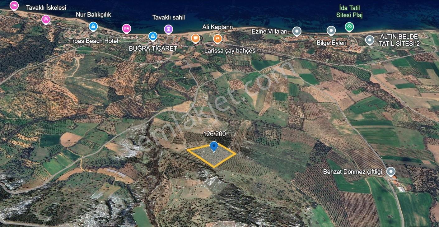 Çanakkale Ezine Alemşah Satılık 17909 M2 Tarla - Görsel 4