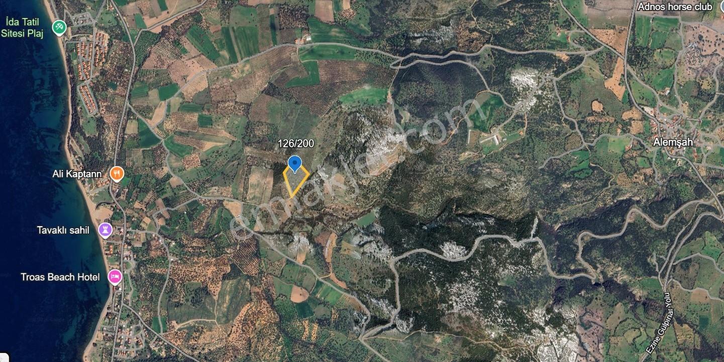 Çanakkale Ezine Alemşah Satılık 17909 M2 Tarla - Görsel 2