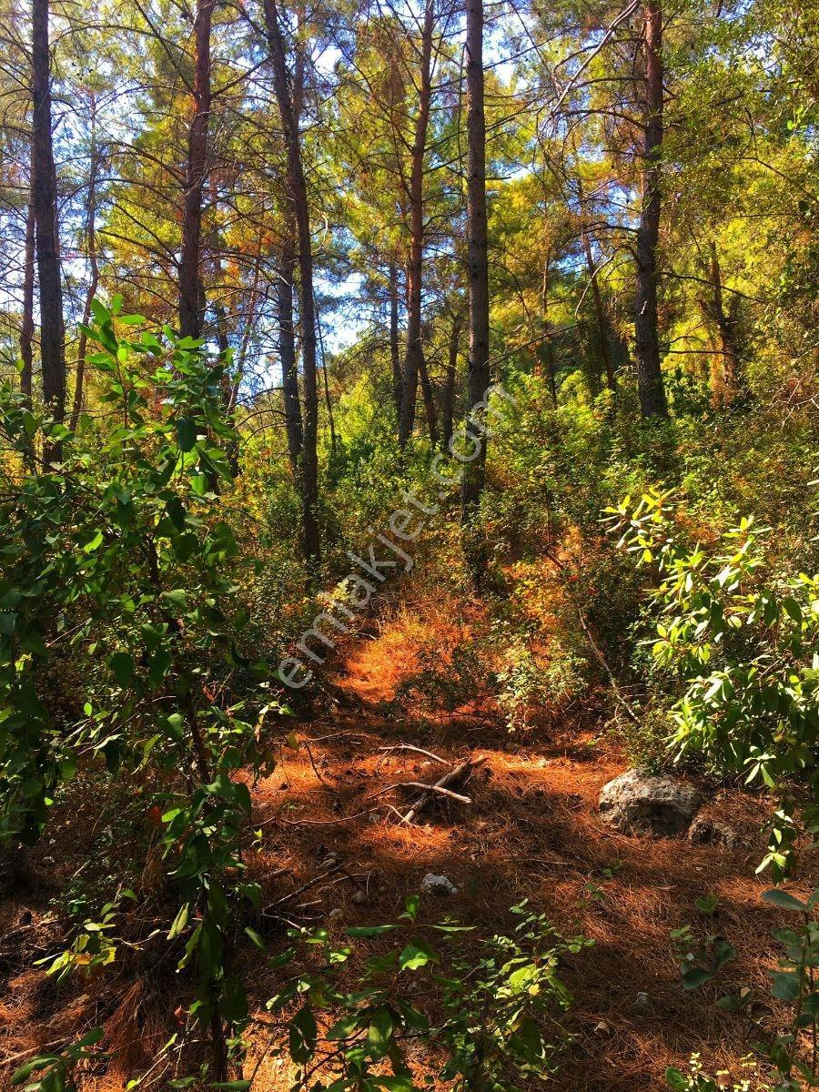 Marmaris Çetibelinde 13.500 M2 Bungalov Projeli Satılık Tarla - Görsel 10