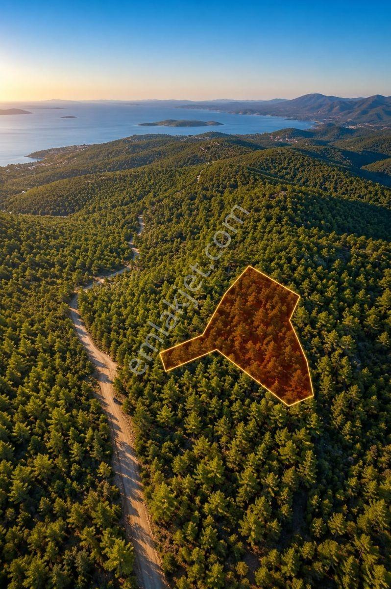 Marmaris Çetibelinde 13.500 M2 Bungalov Projeli Satılık Tarla