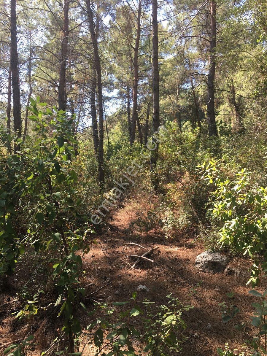 Marmaris Çetibelinde 13.500 M2 Bungalov Projeli Satılık Tarla - Görsel 3