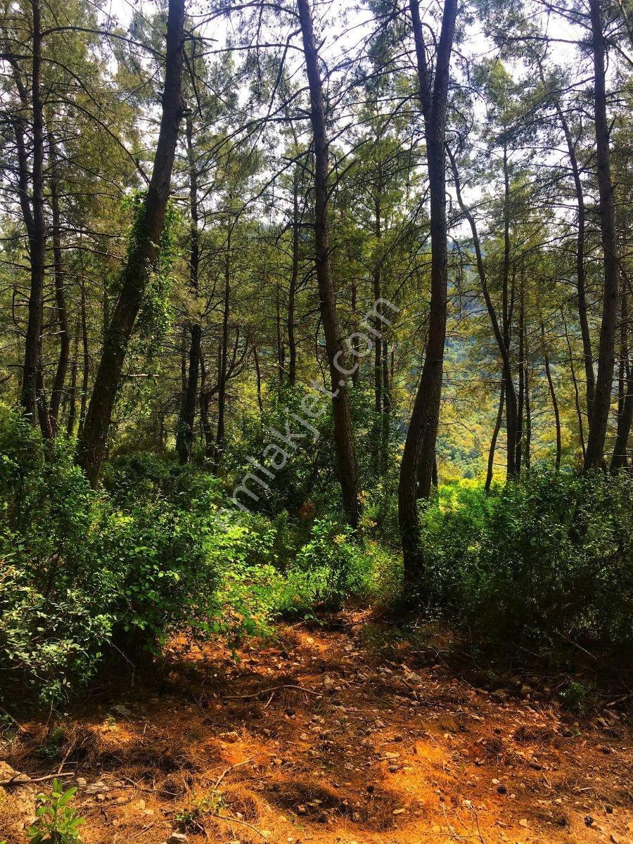 Marmaris Çetibelinde 13.500 M2 Bungalov Projeli Satılık Tarla - Görsel 11