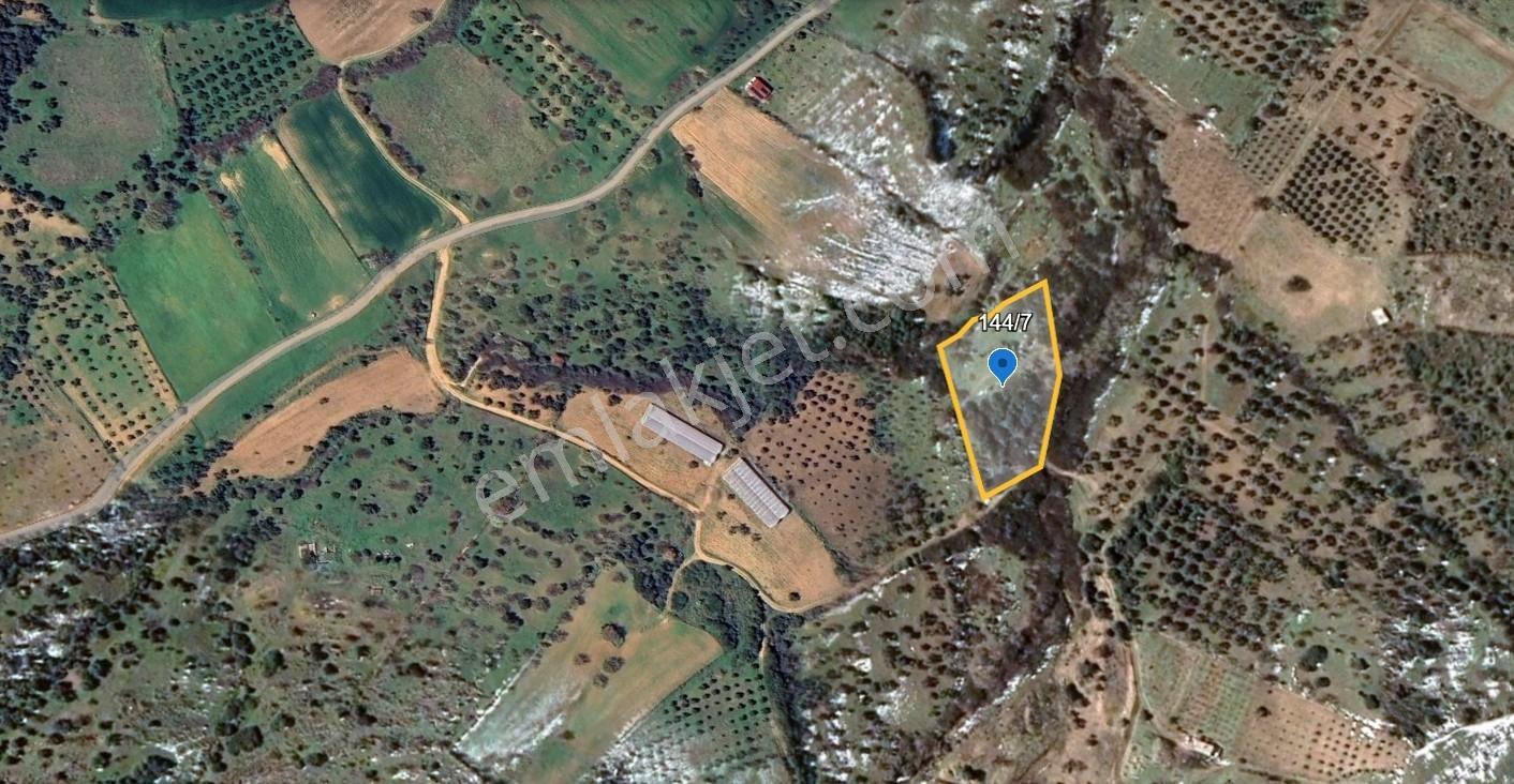Çanakkale Ezine Tavaklı Satılık 4848 M2 Tarla - Görsel 4