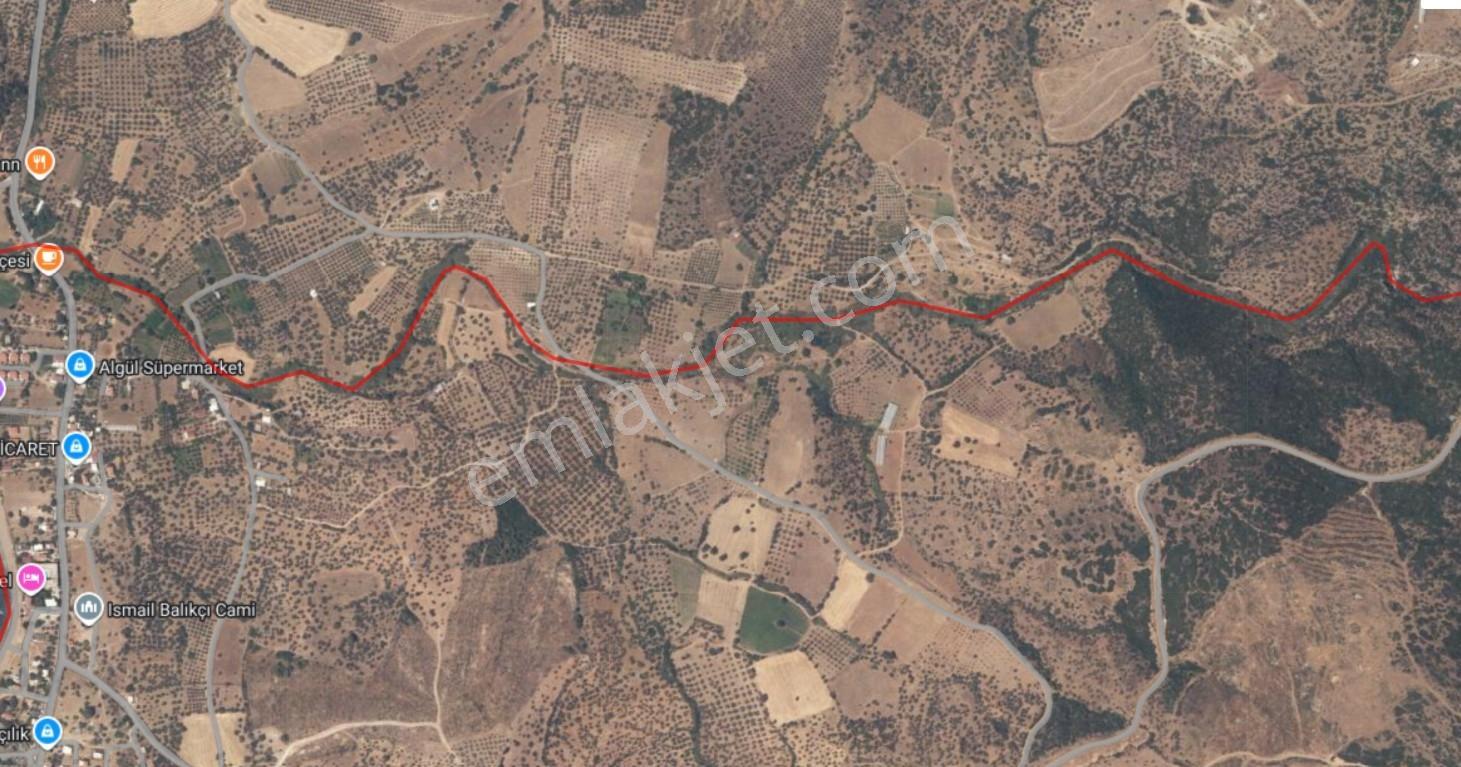 Çanakkale Ezine Tavaklı Satılık 4848 M2 Tarla