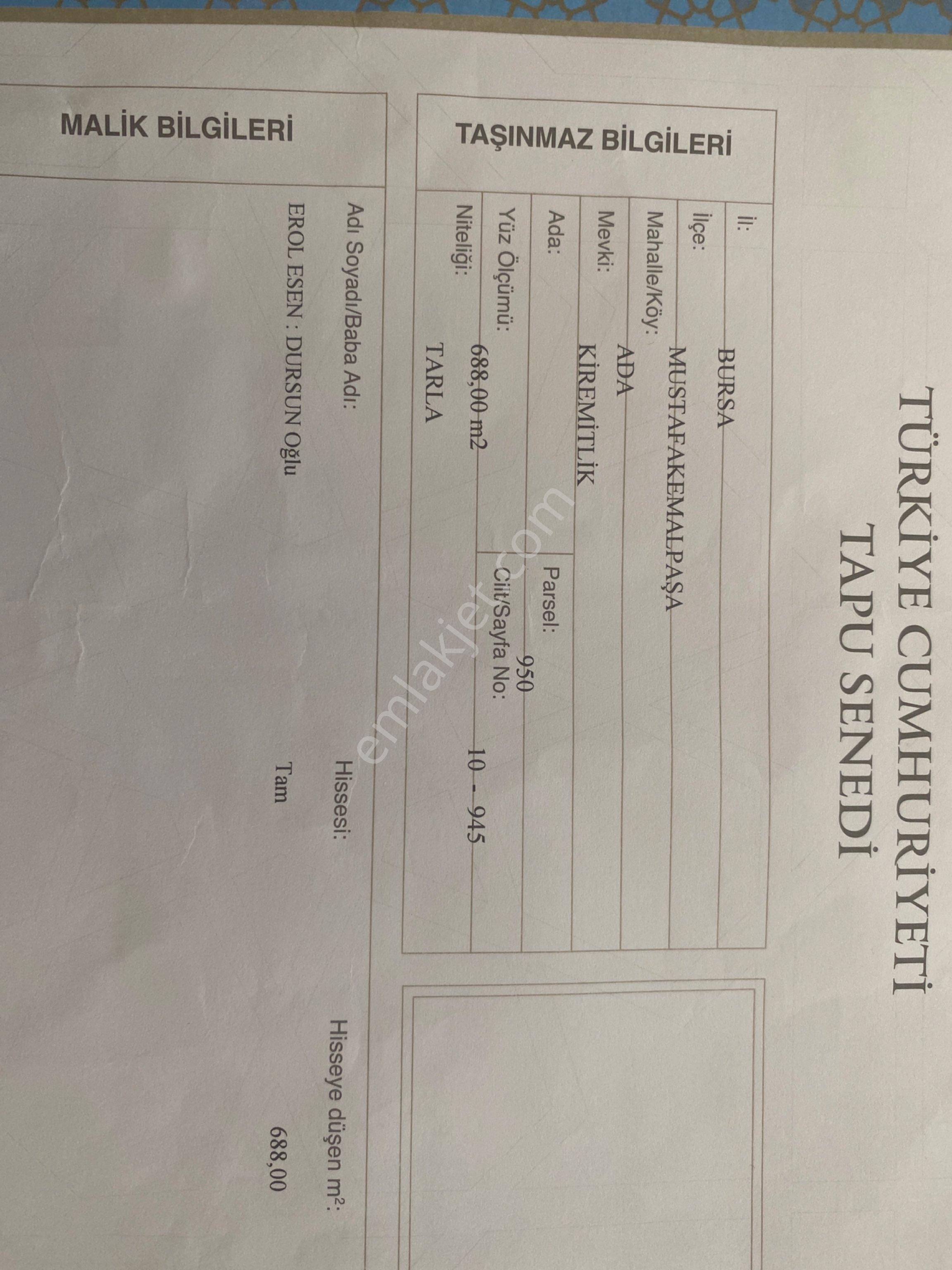 Satılık Tarla – Bursa Mustafakemalpaşa Ada Mahallesi - Görsel 8